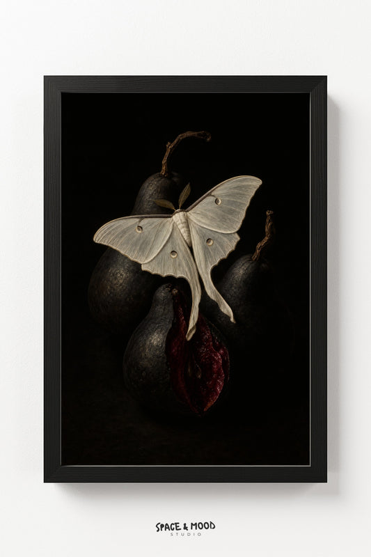 Luna Moth and Pears
