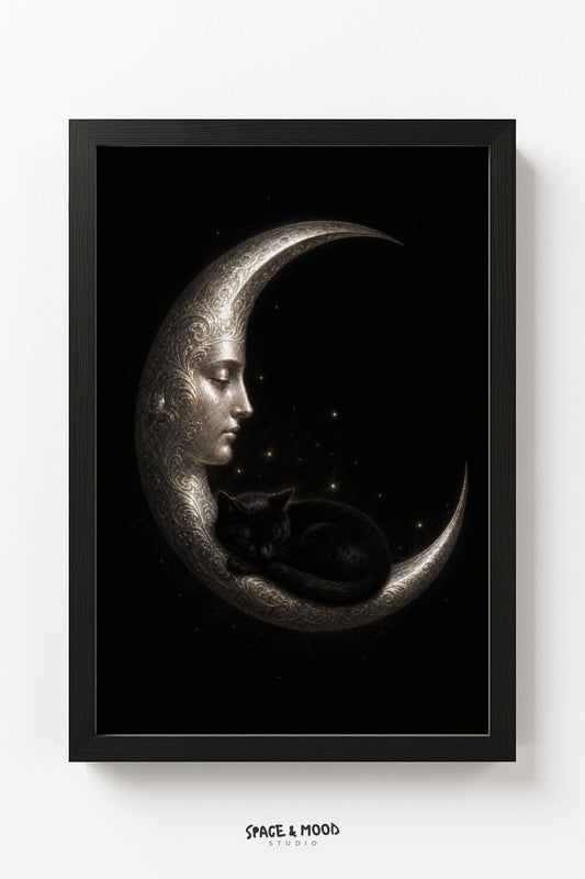 Cat on the Moon