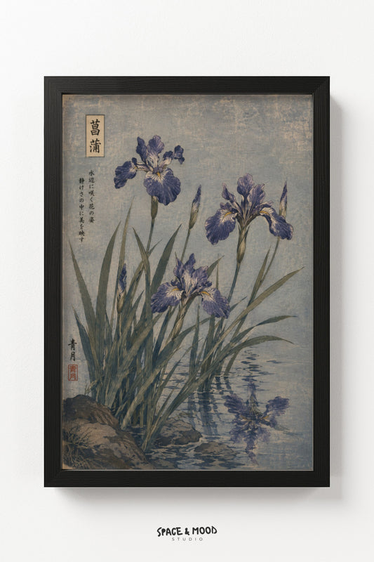 Purple Iris Botanical