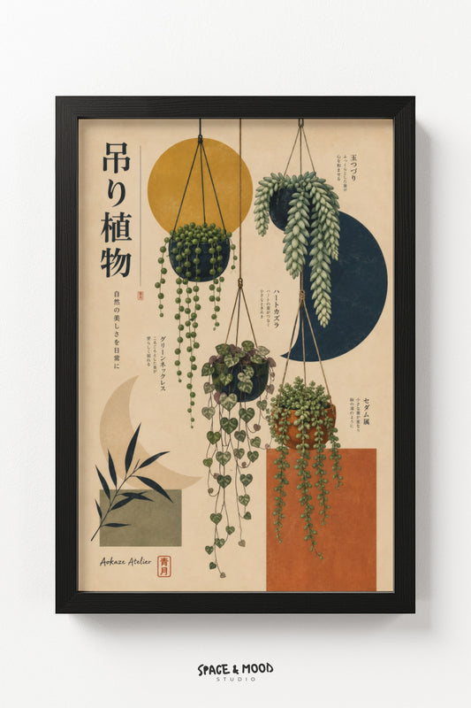 Hanging Plants Modern