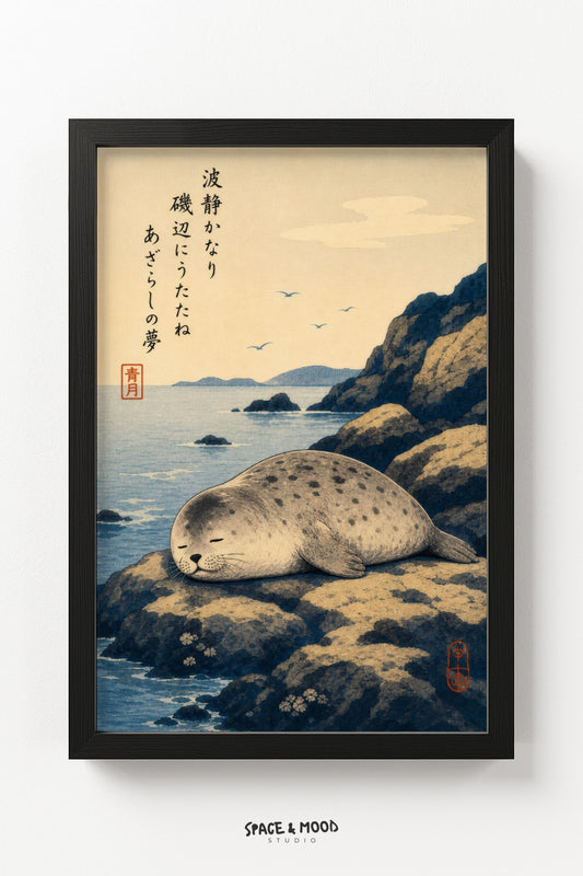 Seal Ocean Rocks