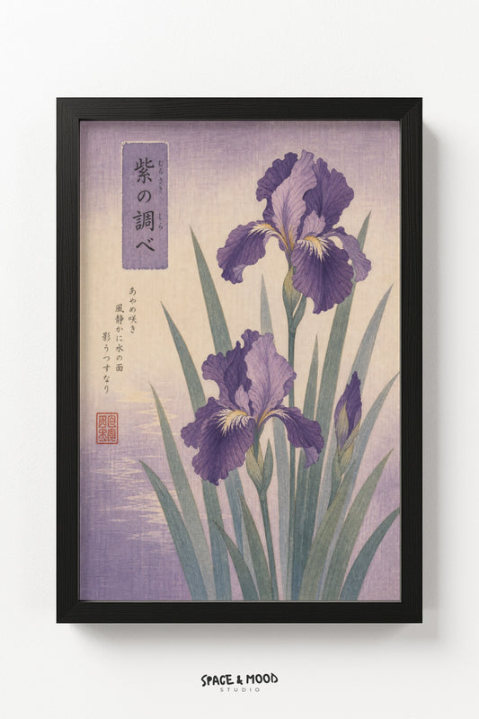 Purple Iris Lavender