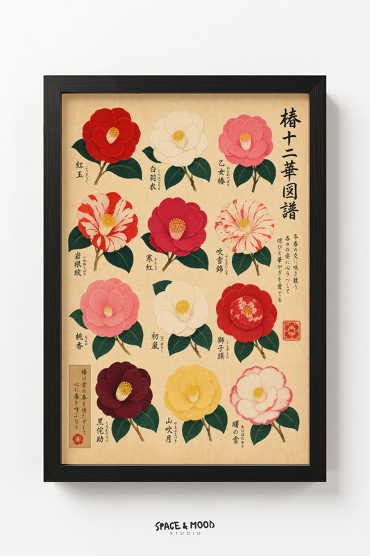 Camellia Chart Twelve