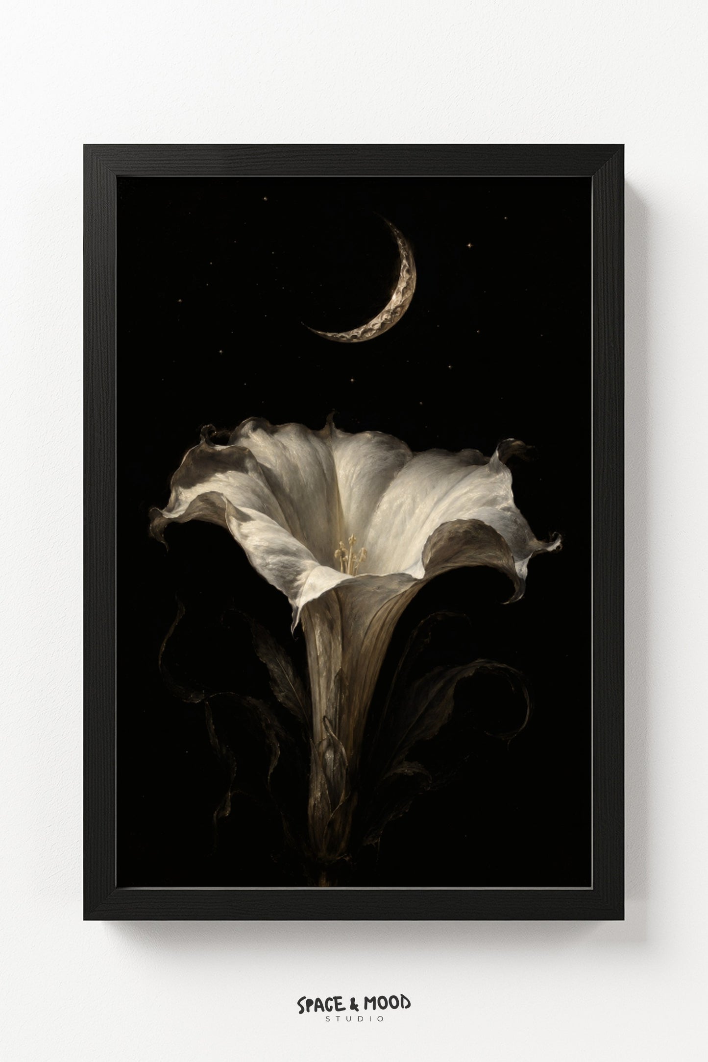 Moonflower Bloom
