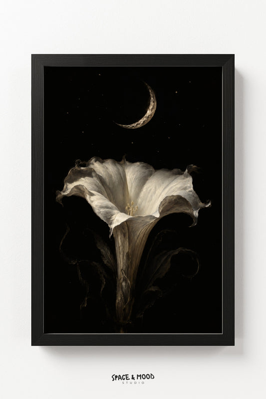 Moonflower Bloom