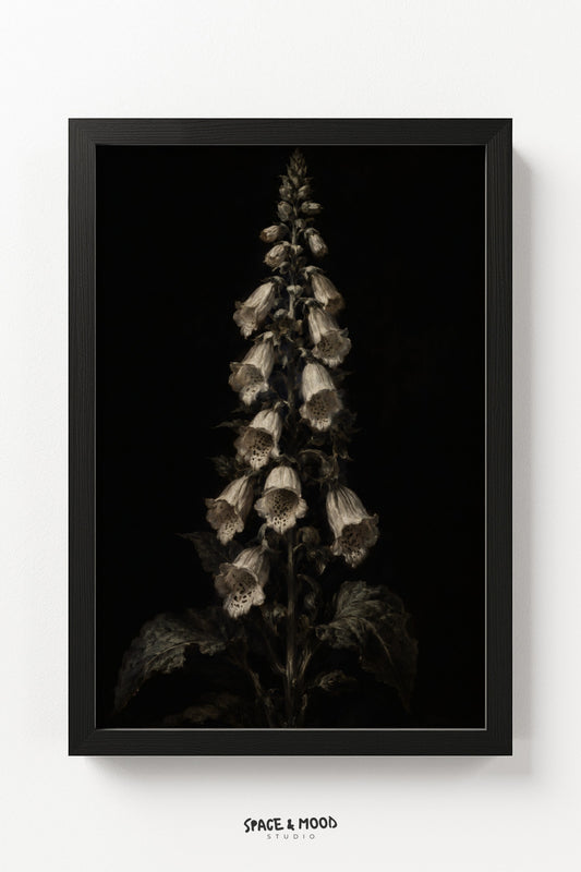 Foxglove Whisper