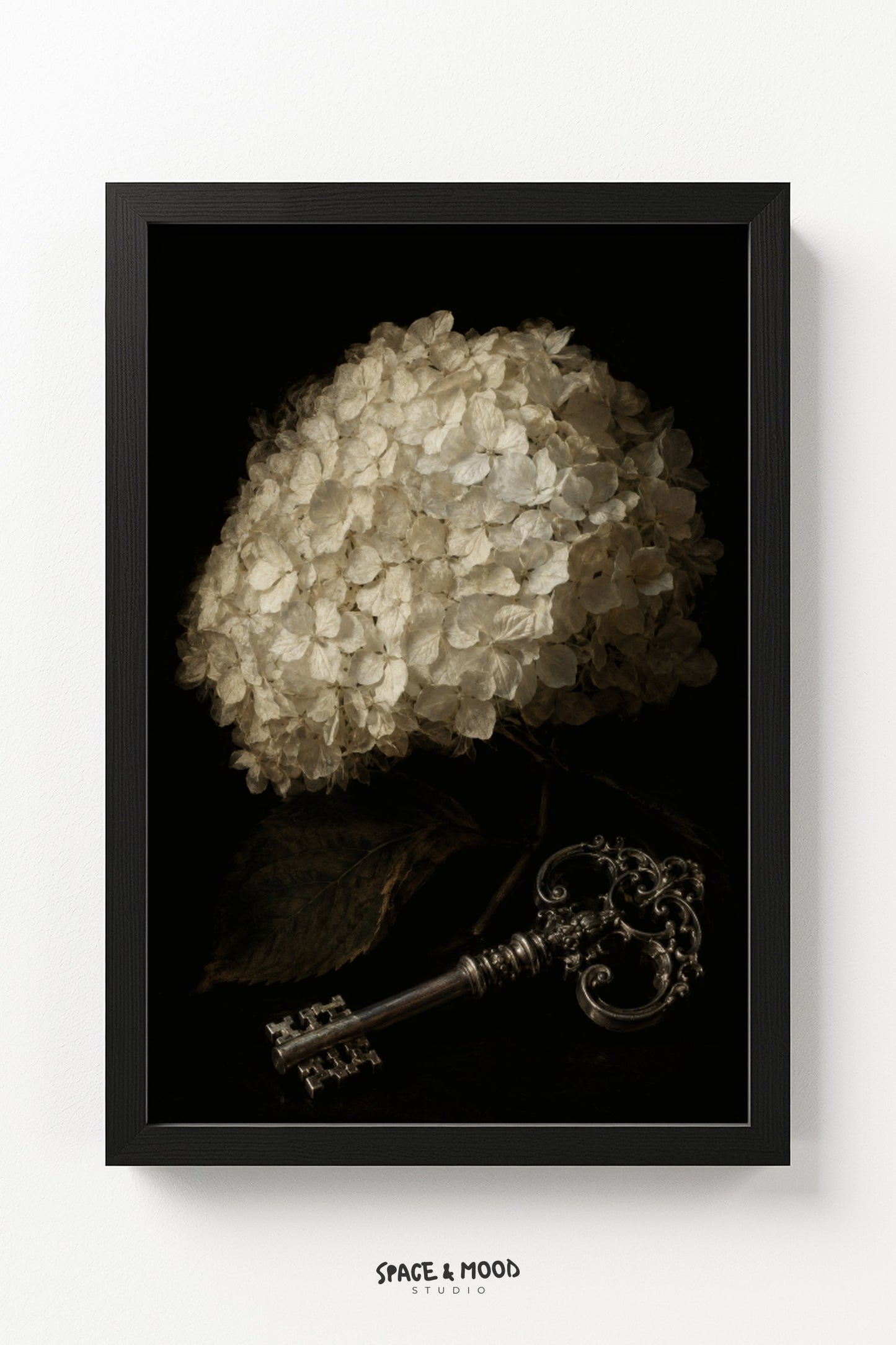 Hydrangea Bloom