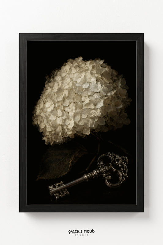 Hydrangea Bloom