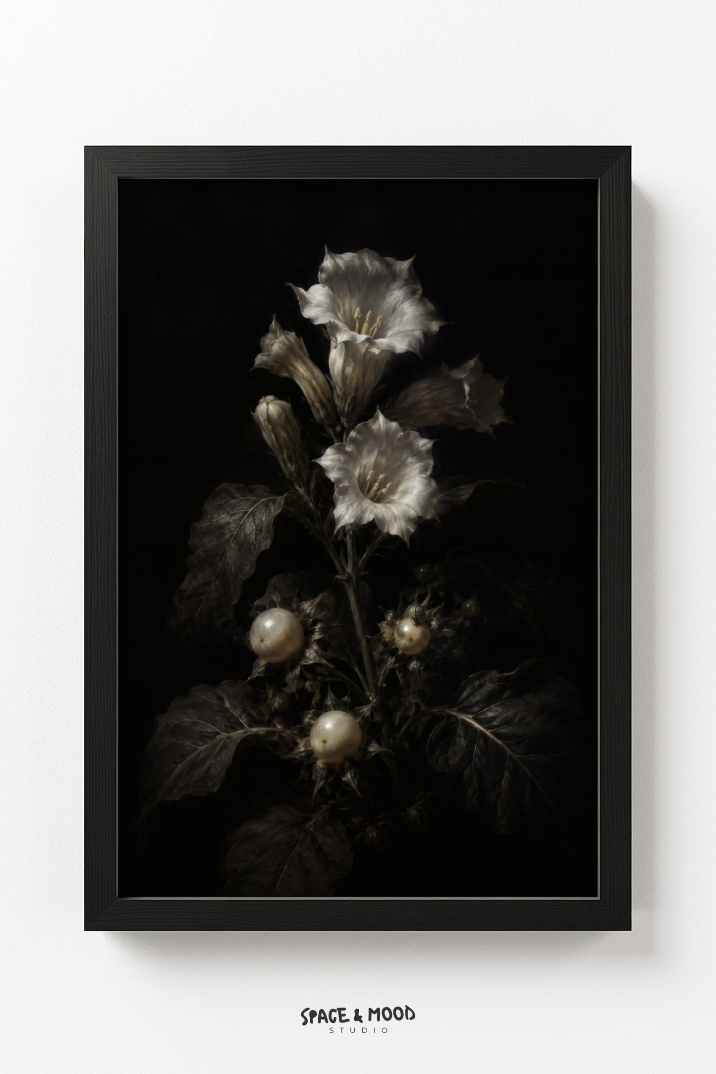 Datura Bloom