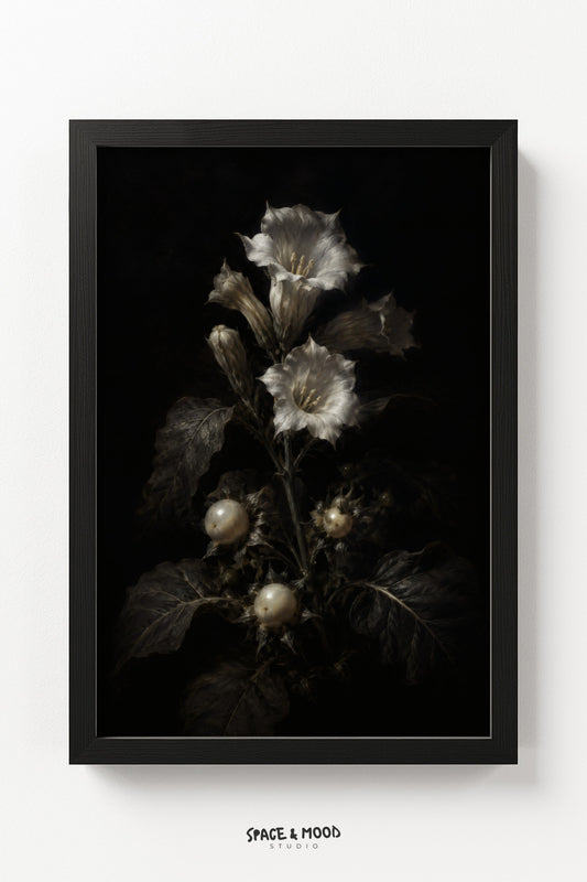 Datura Bloom