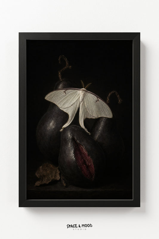 Moth and Pears