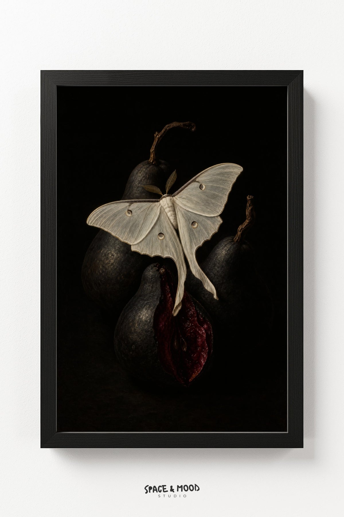Luna Moth and Pears