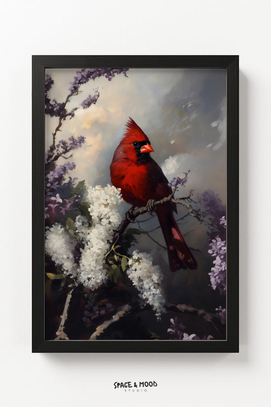 Red Cardinal Bird