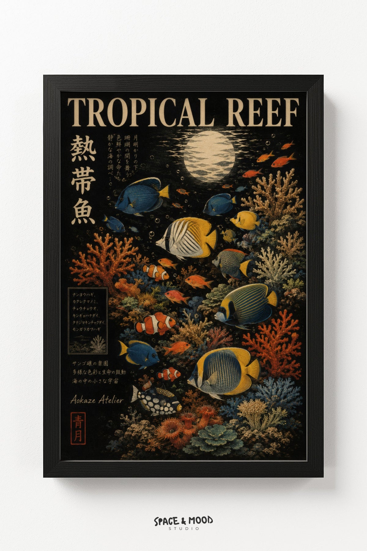 Tropical Reef Fish