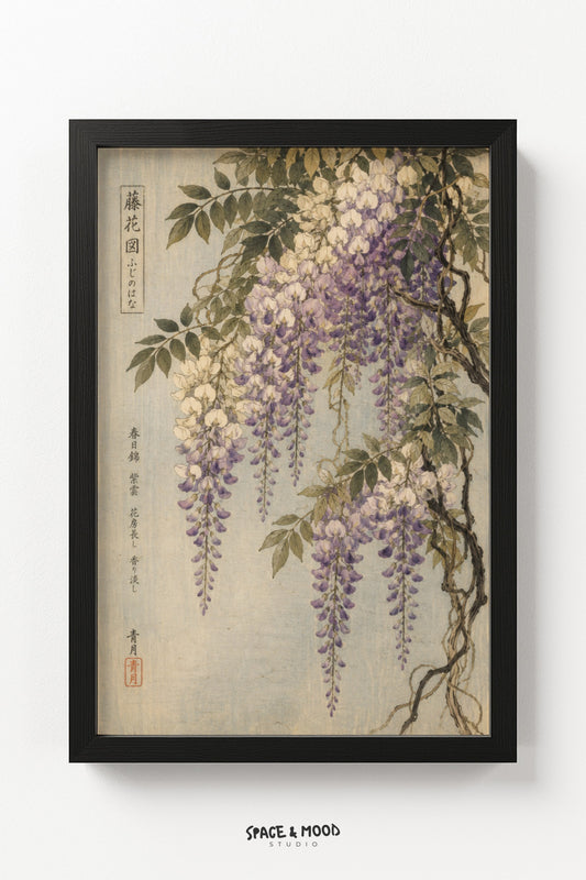 Wisteria Botanical