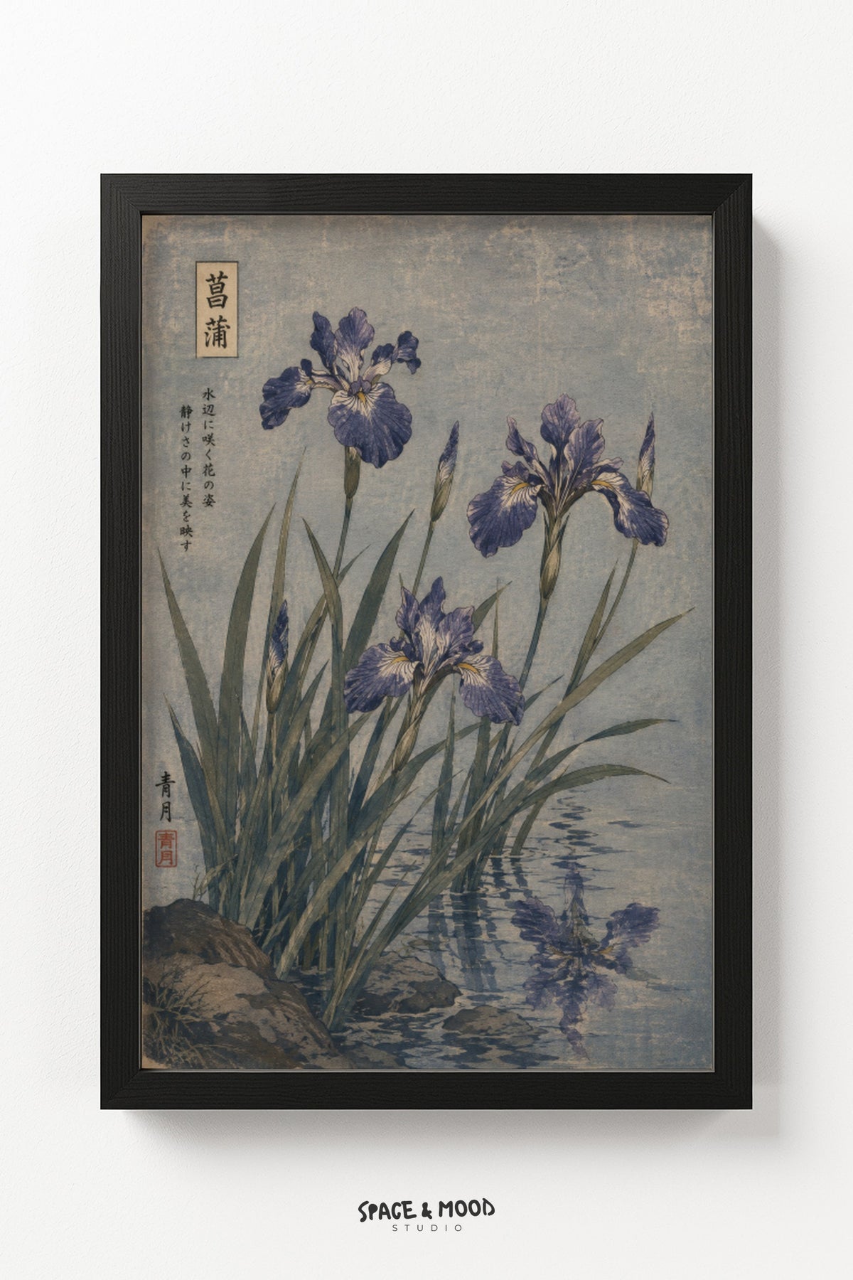Purple Iris Botanical
