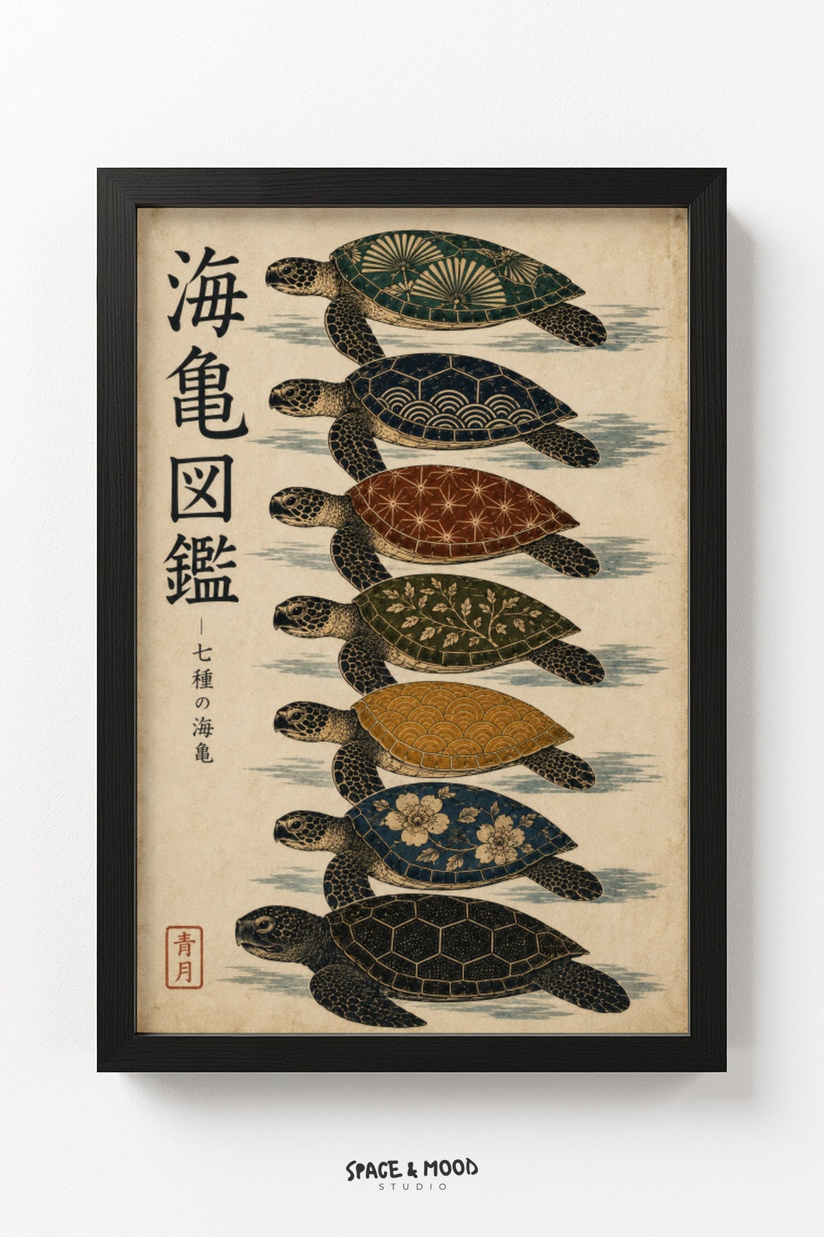 Sea Turtle Chart