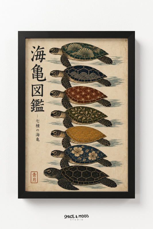 Sea Turtle Chart
