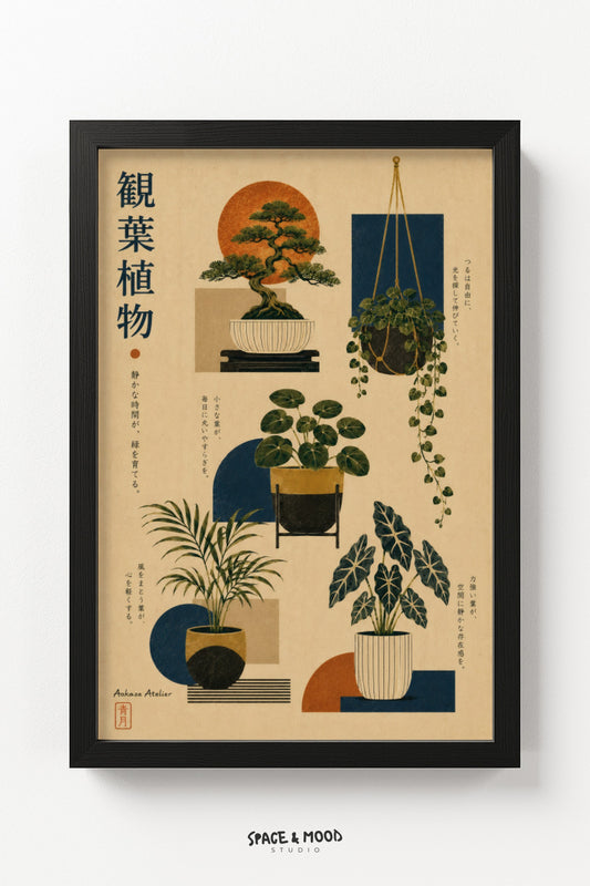 Indoor Plant Collection