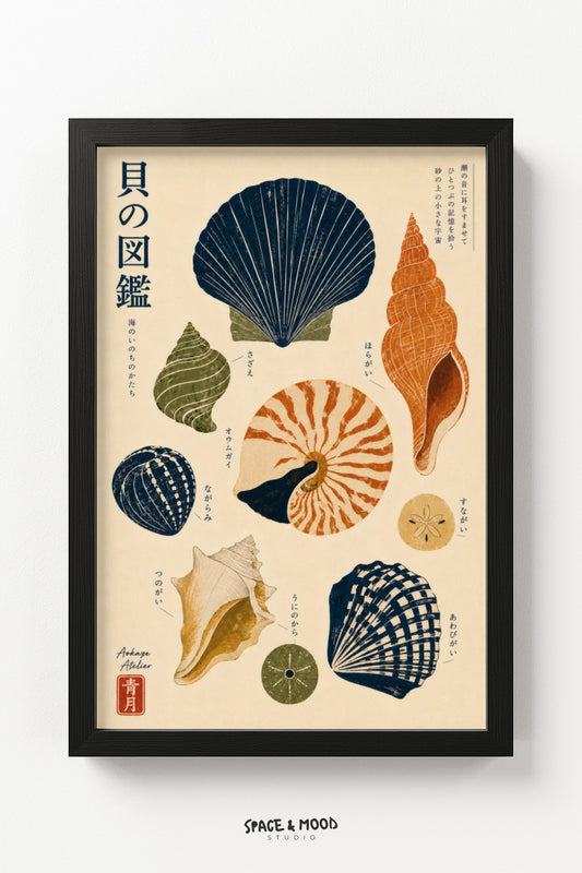 Ocean Shell Chart II