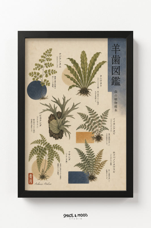 Fern Botanical Chart
