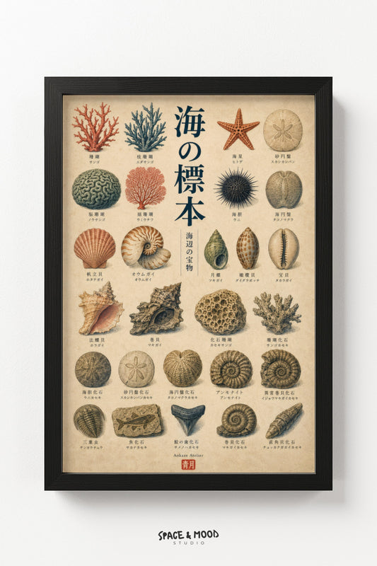 Ocean Specimen Chart