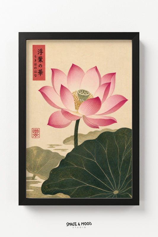 Pink Lotus Bloom