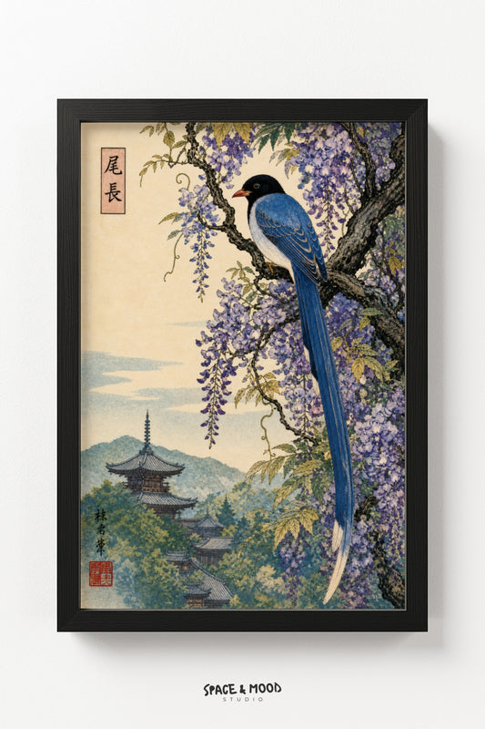 Magpie in Wisteria