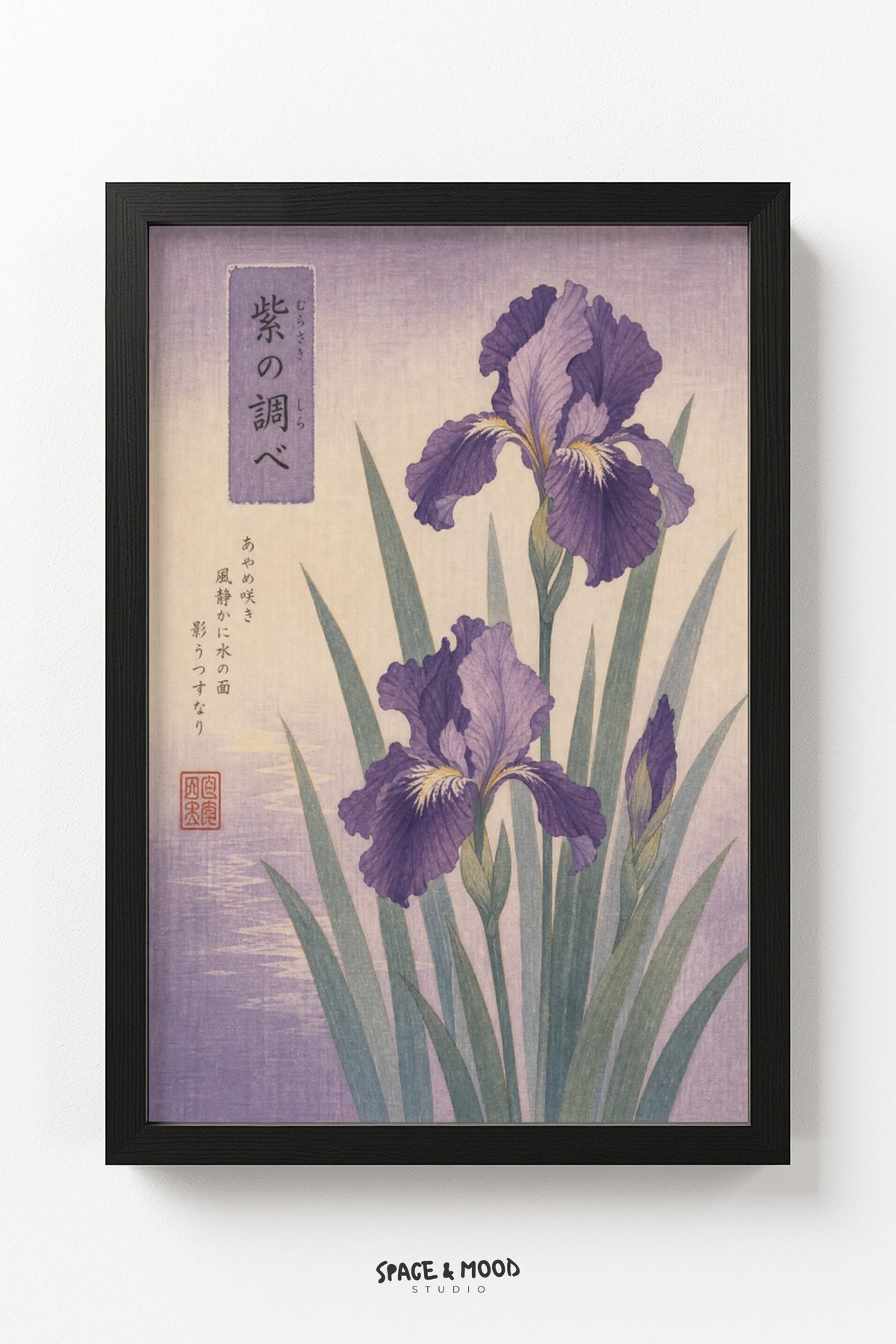 Purple Iris Lavender
