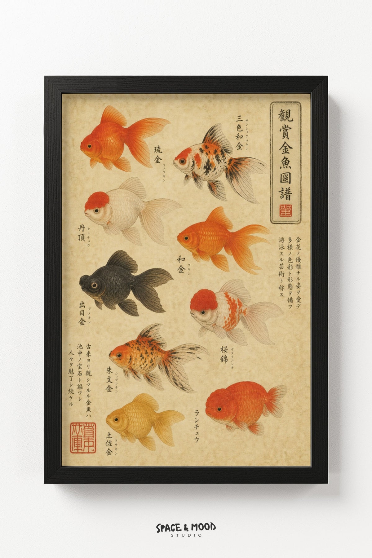 Goldfish Chart Ornamental