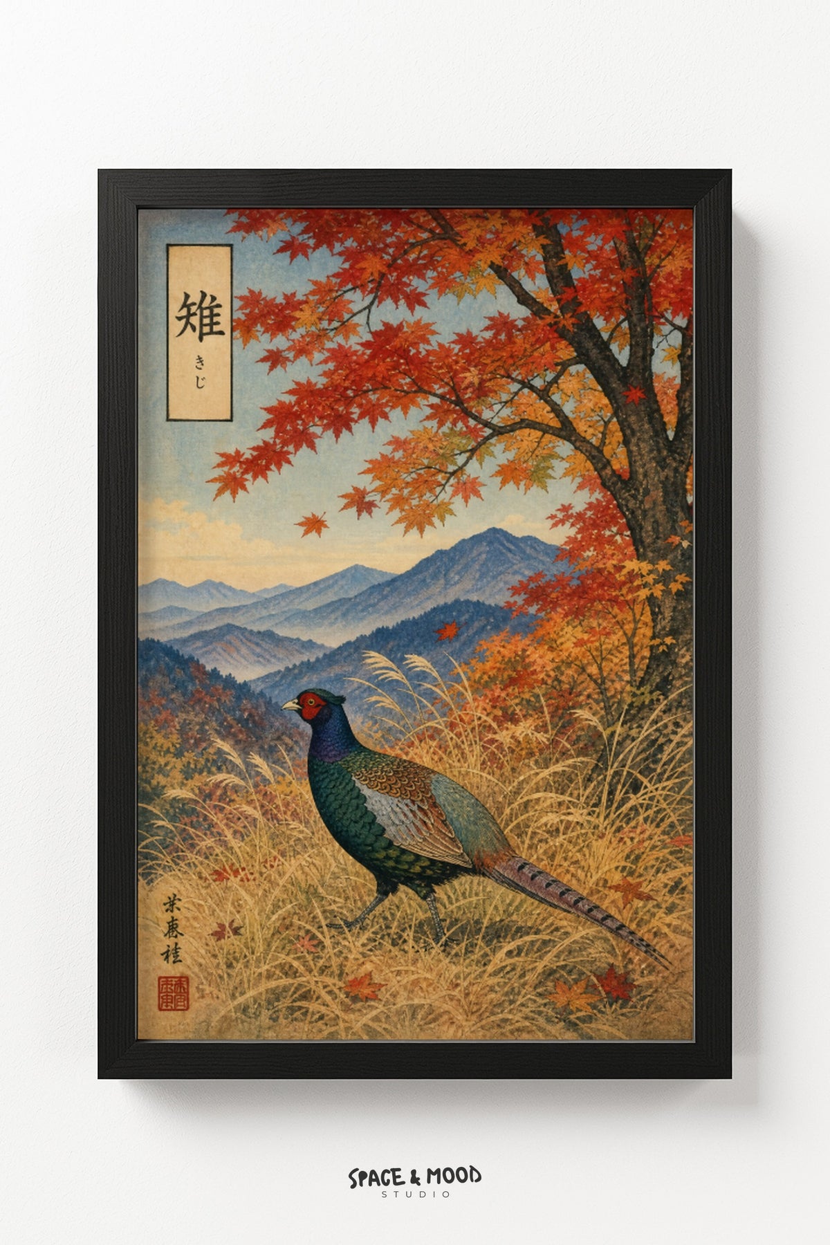 Pheasant Autumn Field