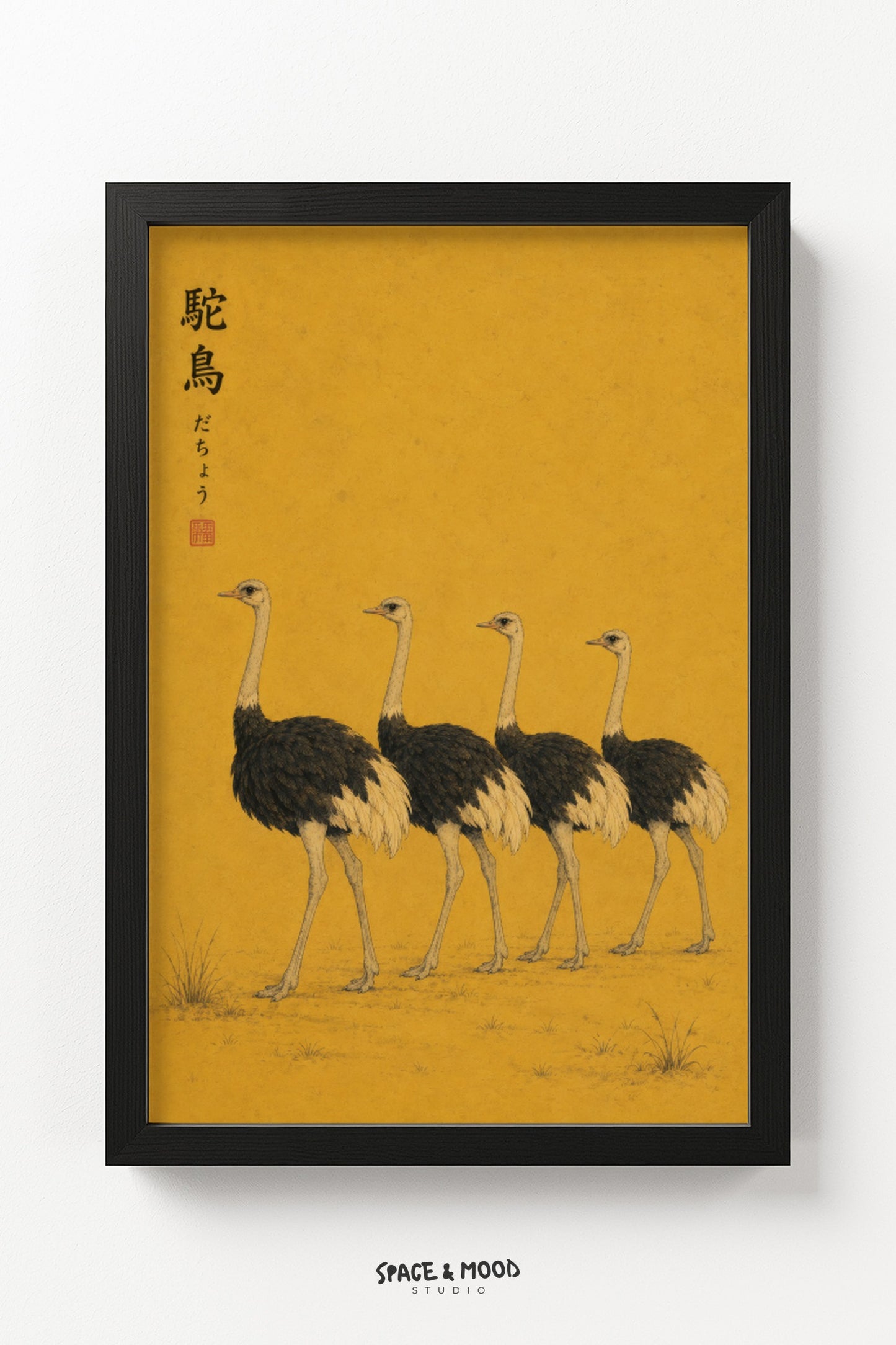 Ostrich Flock