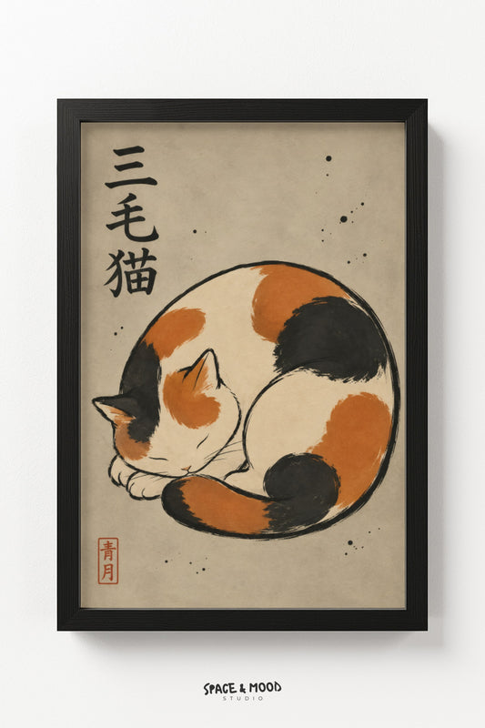 Calico Cat Curled