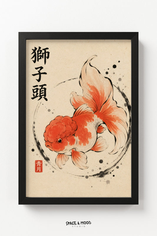 Lionhead Goldfish