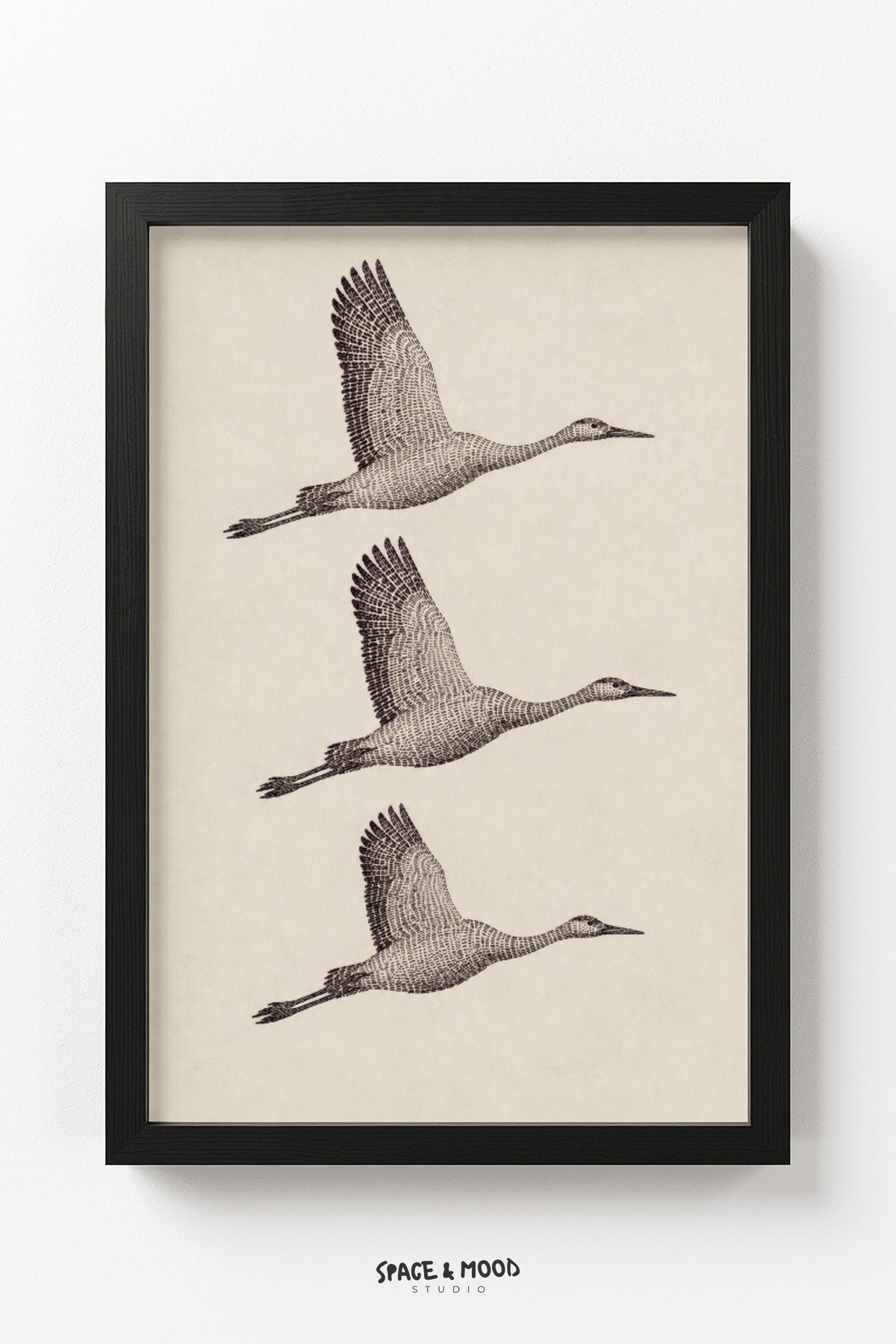 Three Cranes Flying