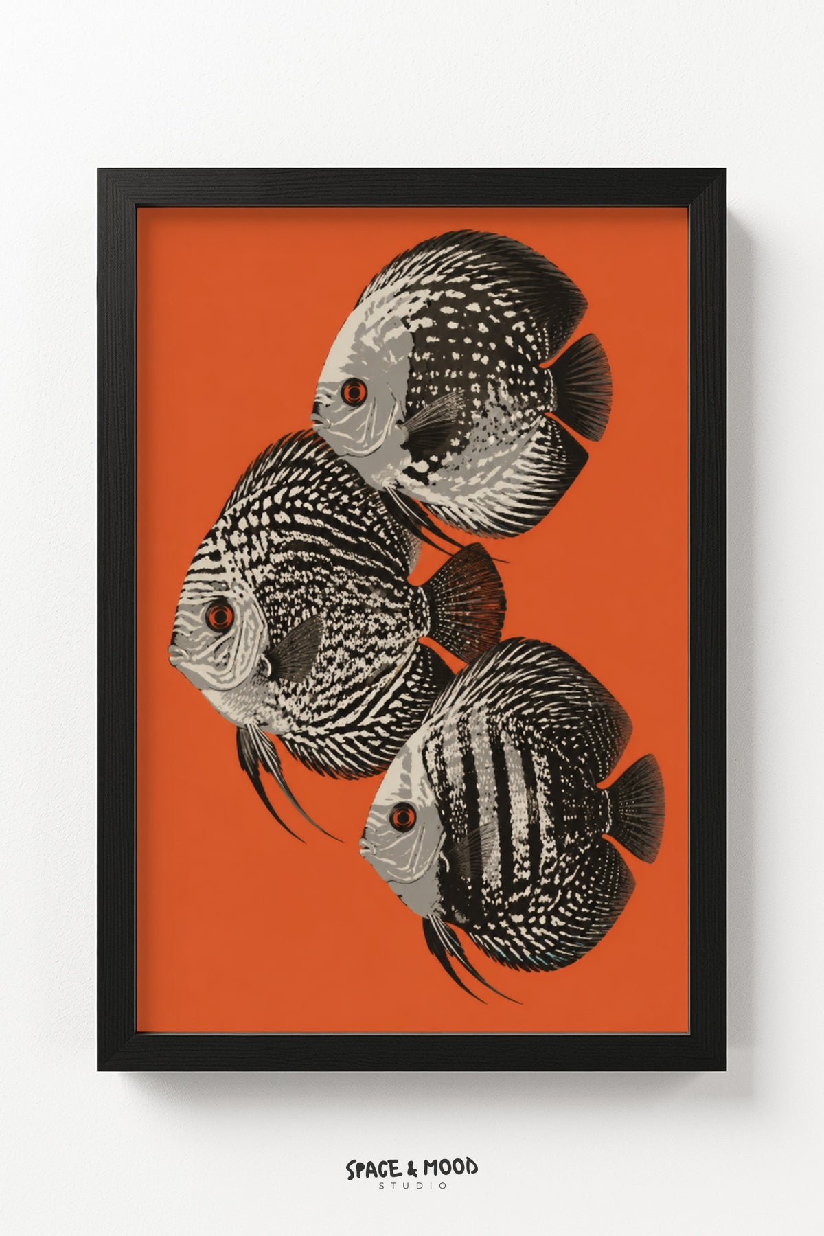 Discus Fish Orange