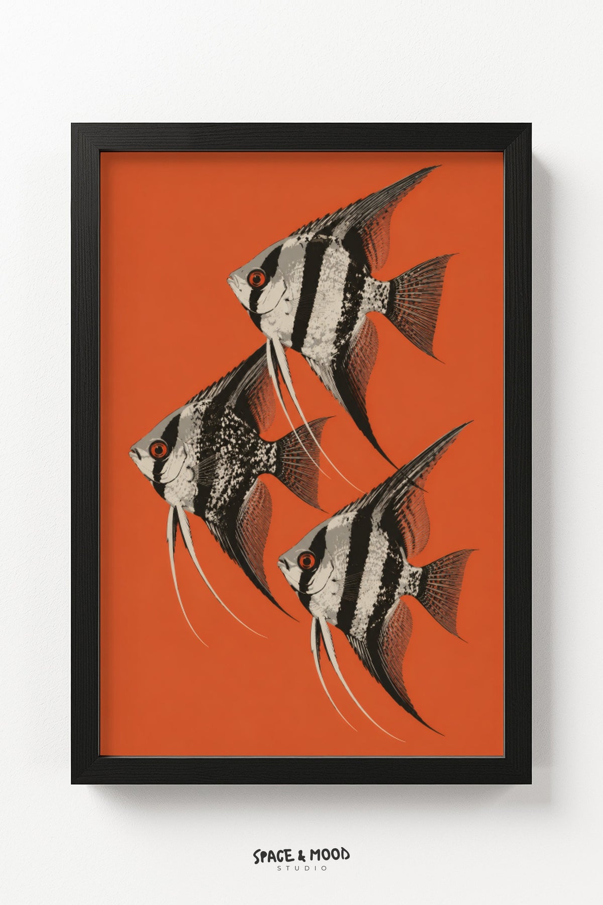 Angelfish Trio Orange