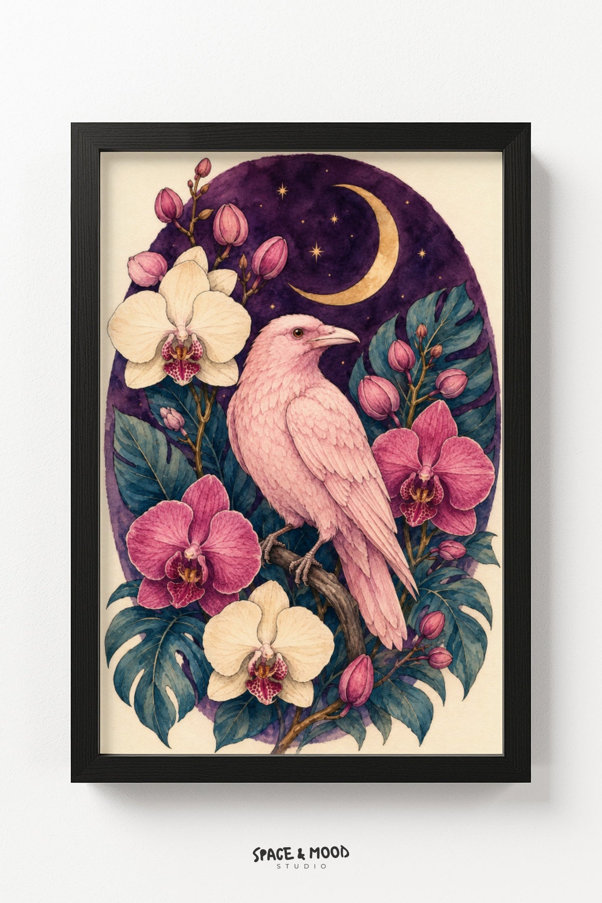 Pink Raven Orchid Moon