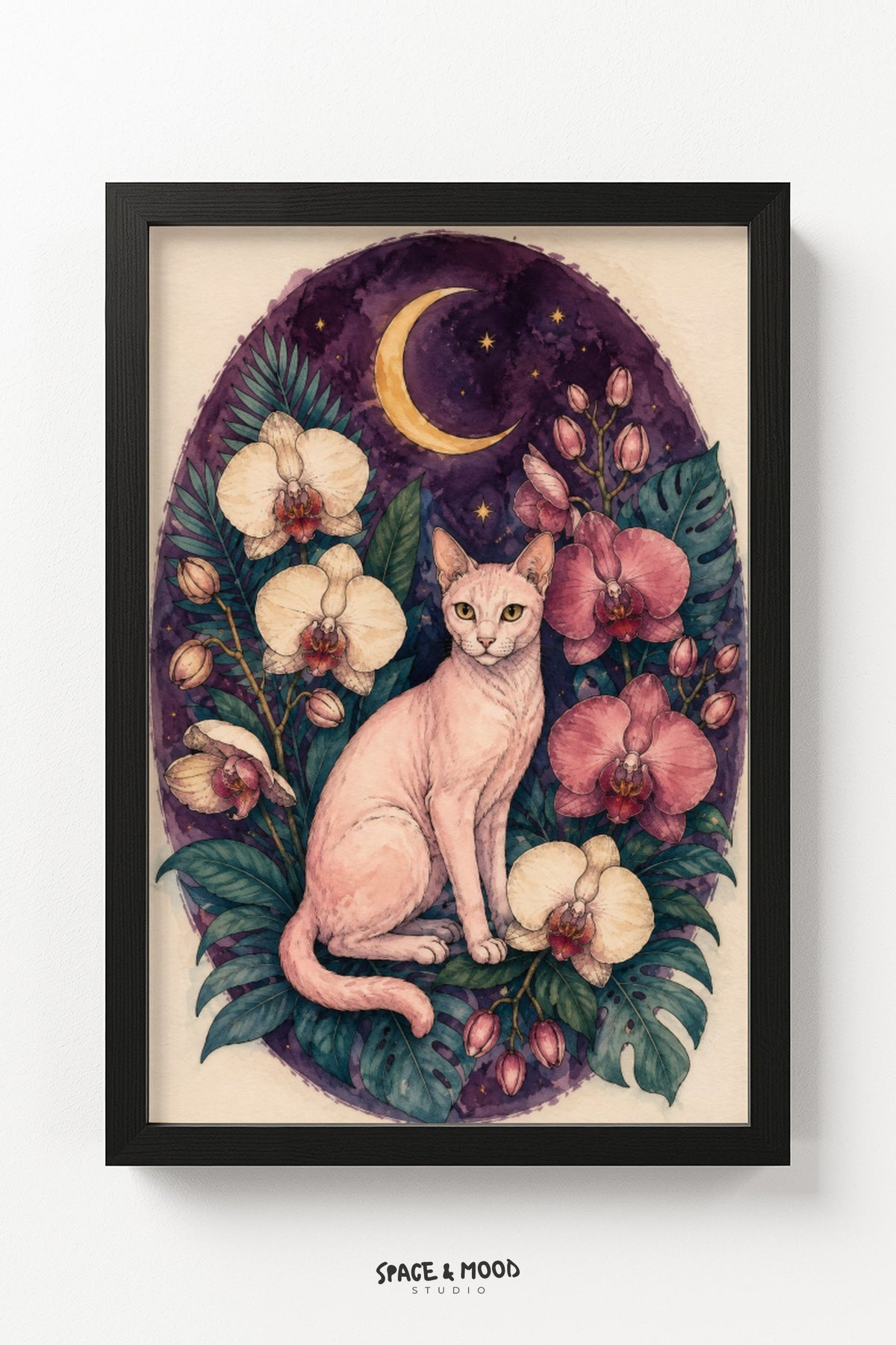 Sphynx Cat Orchid Moon