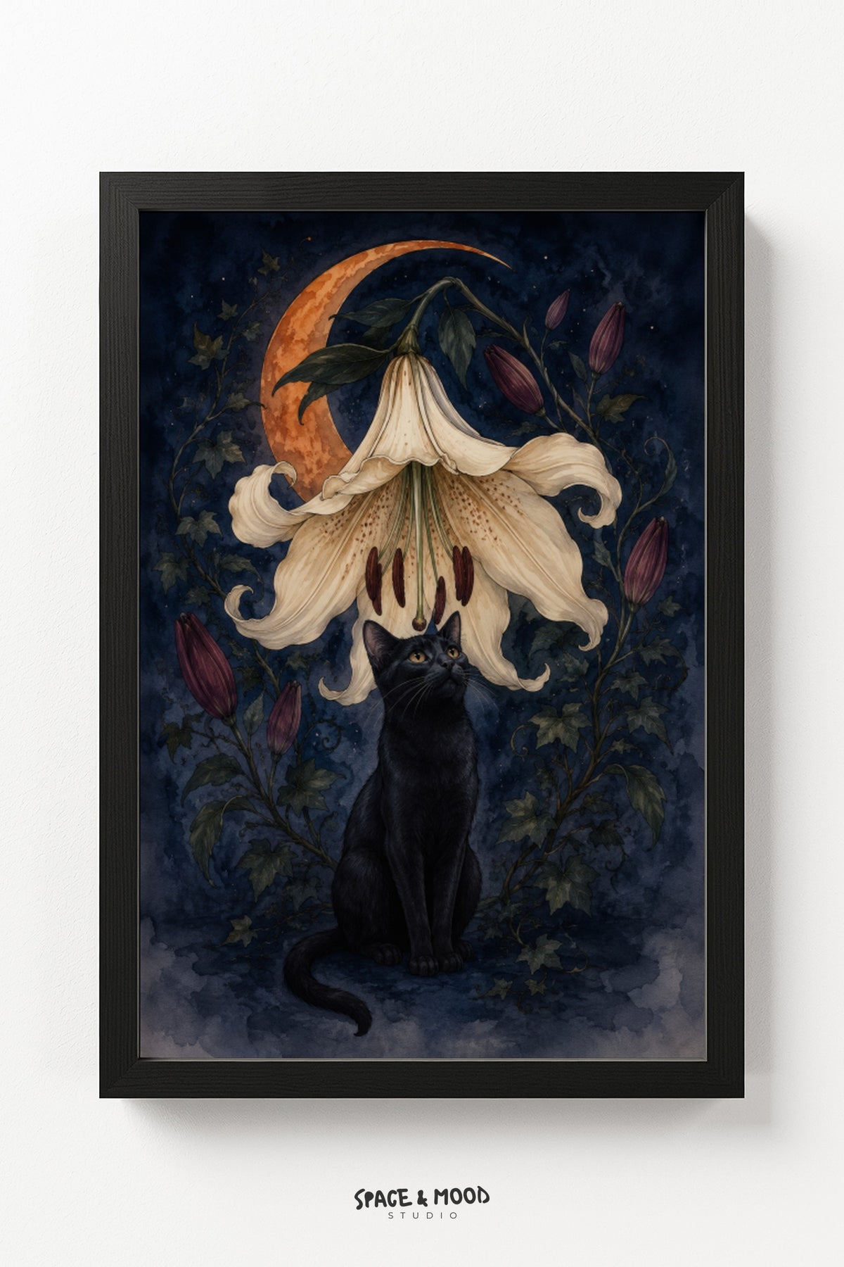 Black Cat Trumpet Flower
