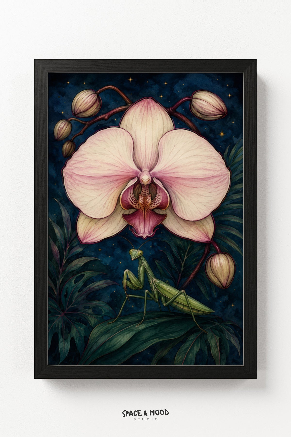 Mantis Orchid Night