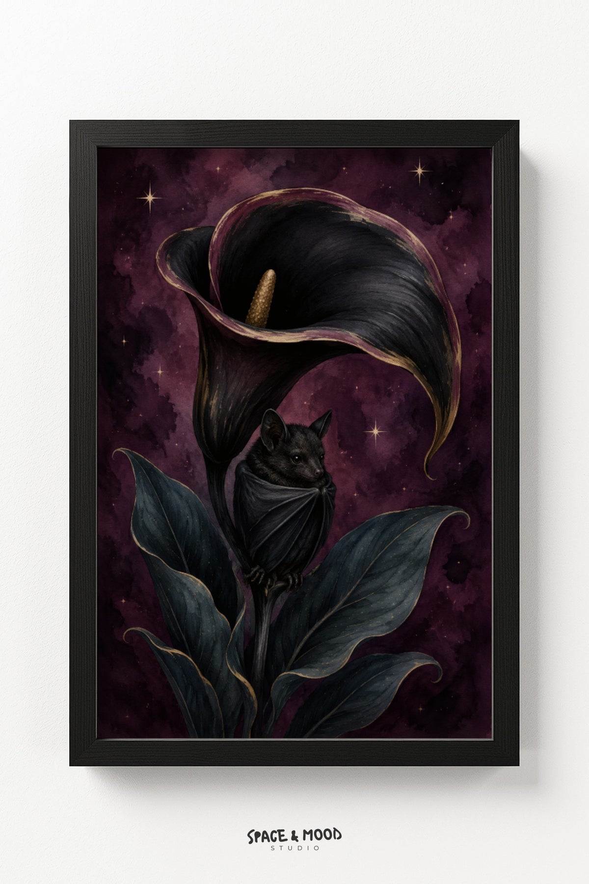 Black Cat Calla Lily