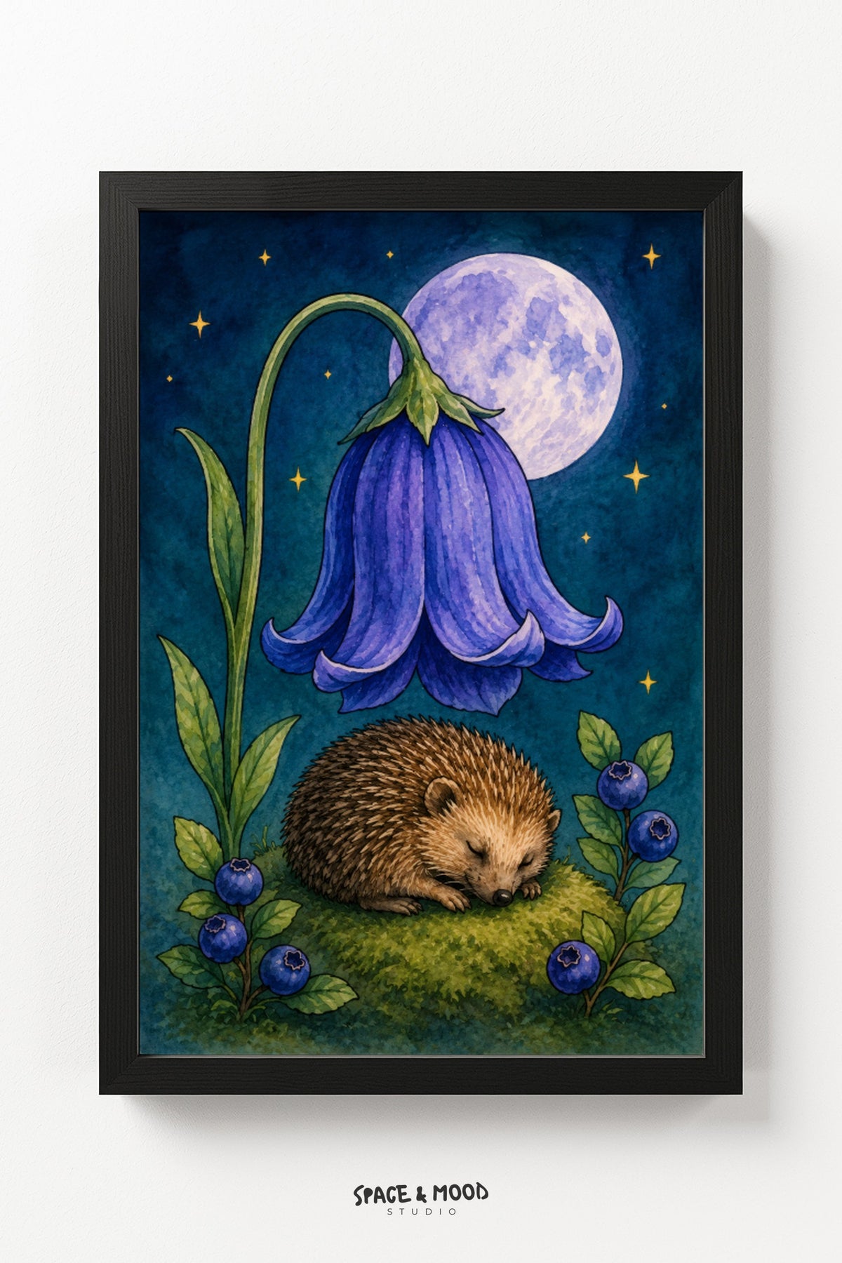 Hedgehog Bellflower Sleep