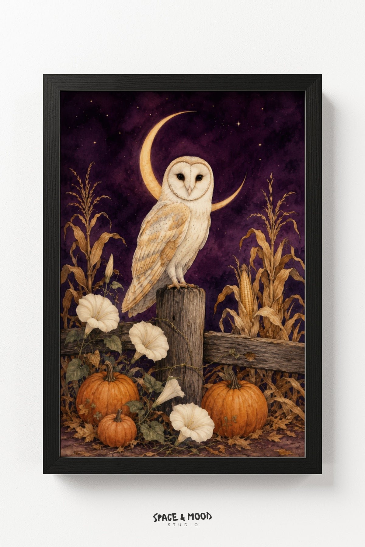 Barn Owl Corn Field Moon