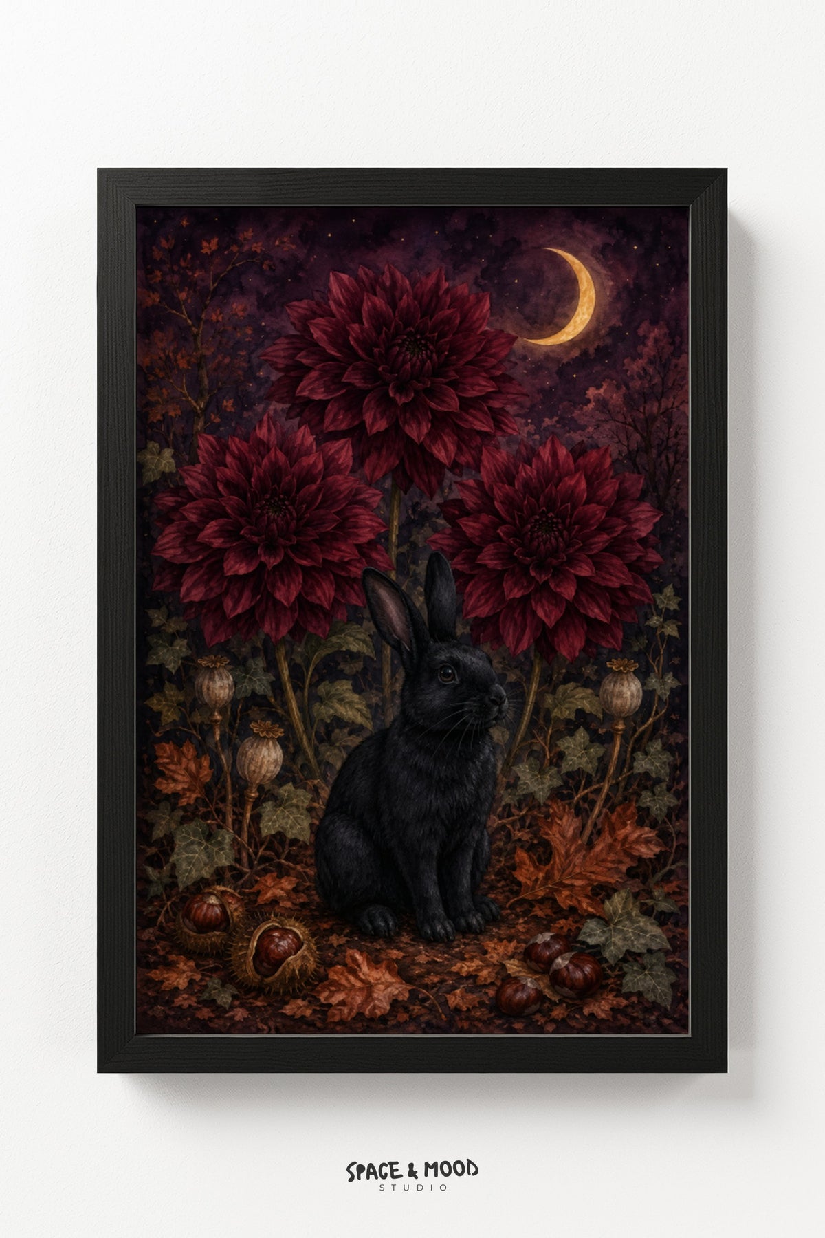 Black Bunny Dahlia Autumn