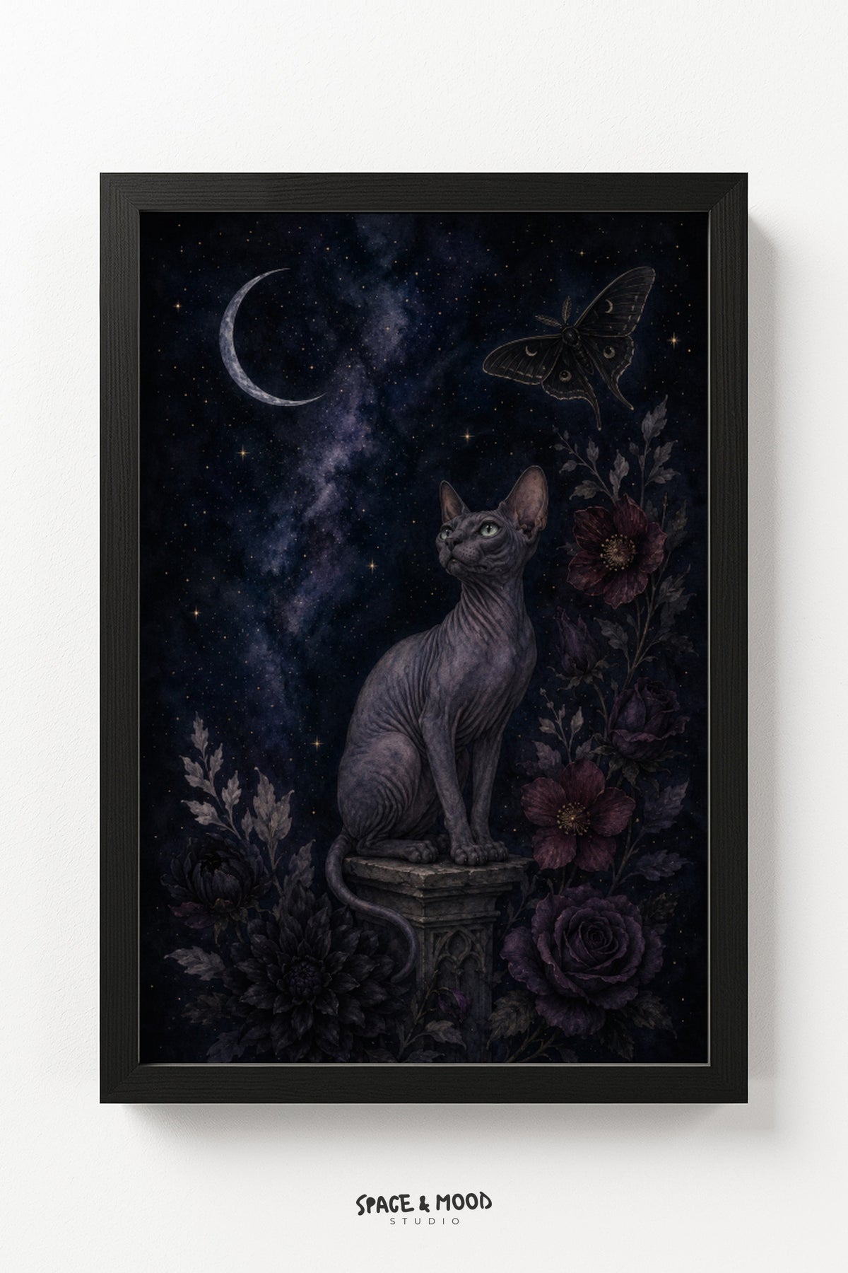 Sphynx Cat Night Moth