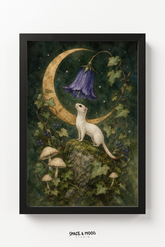 White Ferret Bellflower Moon