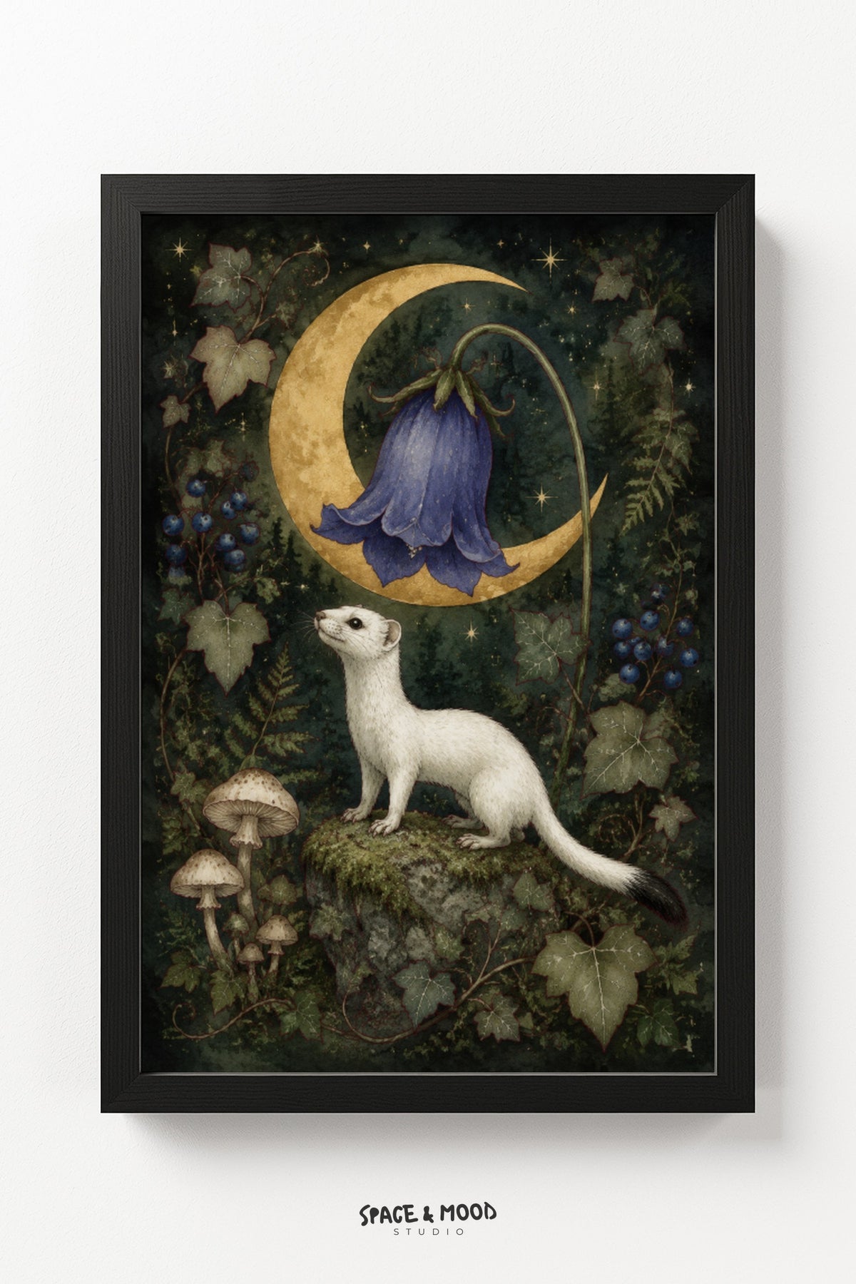 White Ferret Bellflower II