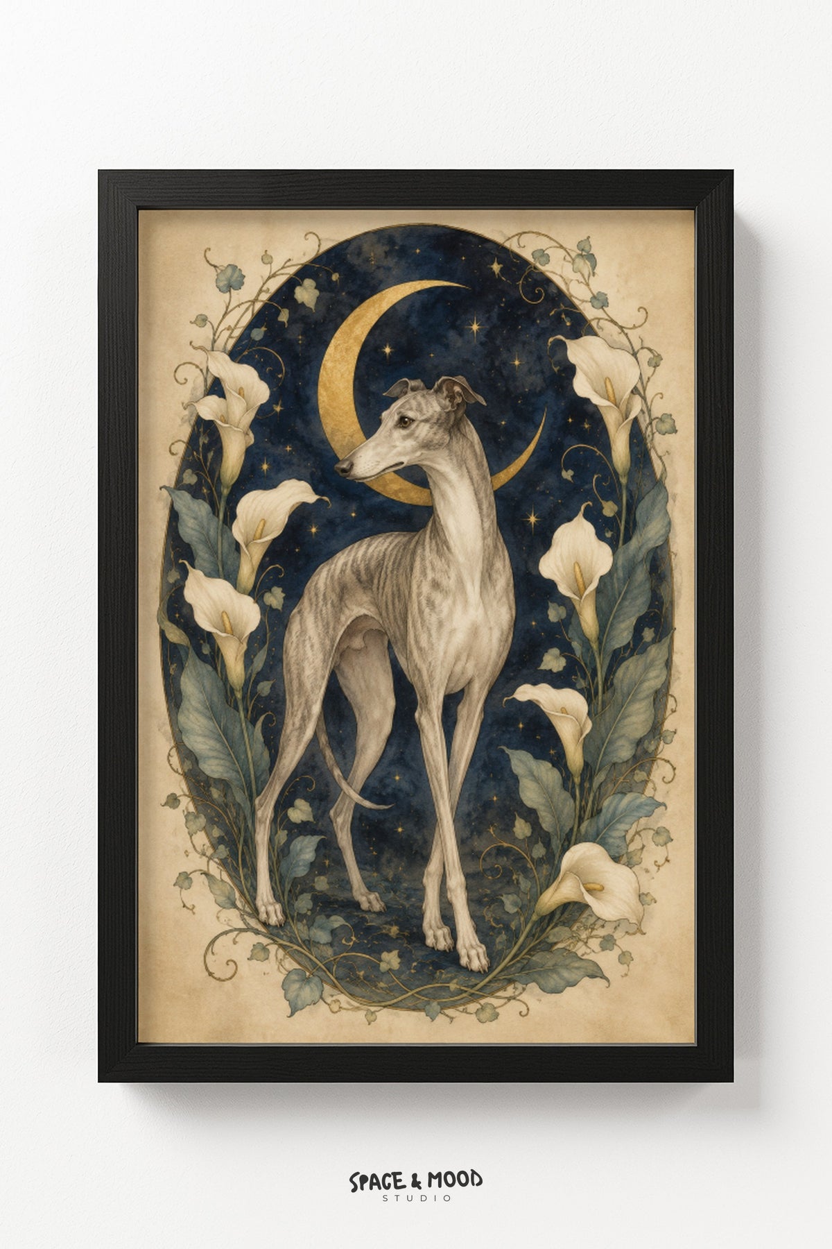 Greyhound Lily Moon