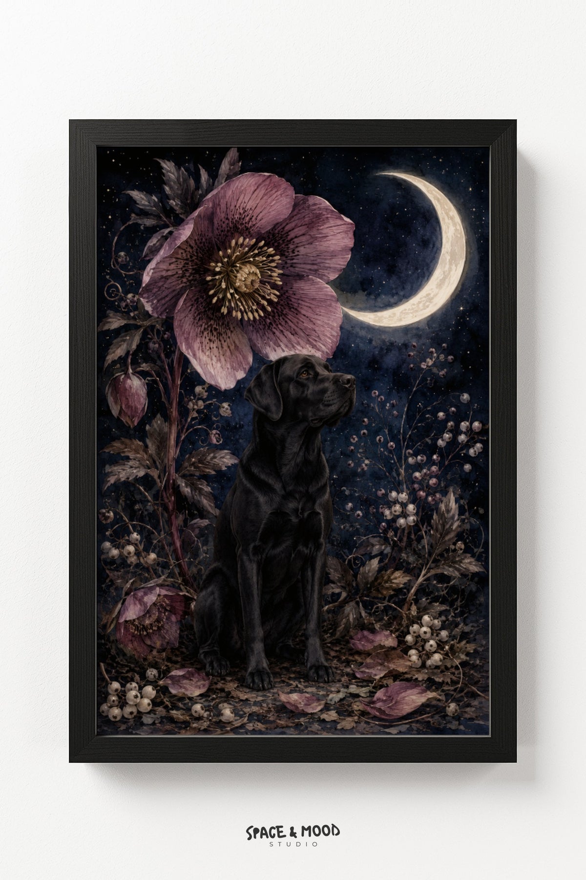 Black Labrador Hellebore Moon